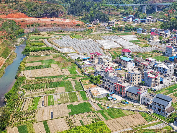 小區、城鎮、農村